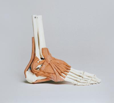 Infiltraciones ecoguiadas - Clnica Futtura - Fisioterapia y Podologa | Getafe (Madrid)